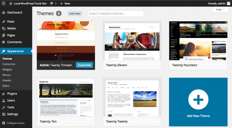 Selection of the WordPress theme