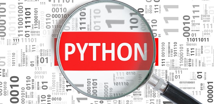 python programming language